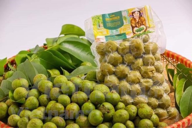 越南对澳大利亚农产品出口取得重大进展